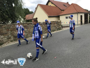 Festwagen des SV Blau Weiß Neschwitz - Festumzug 2018